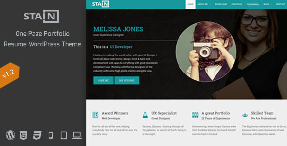 01_stain-wp-preview.__large_preview